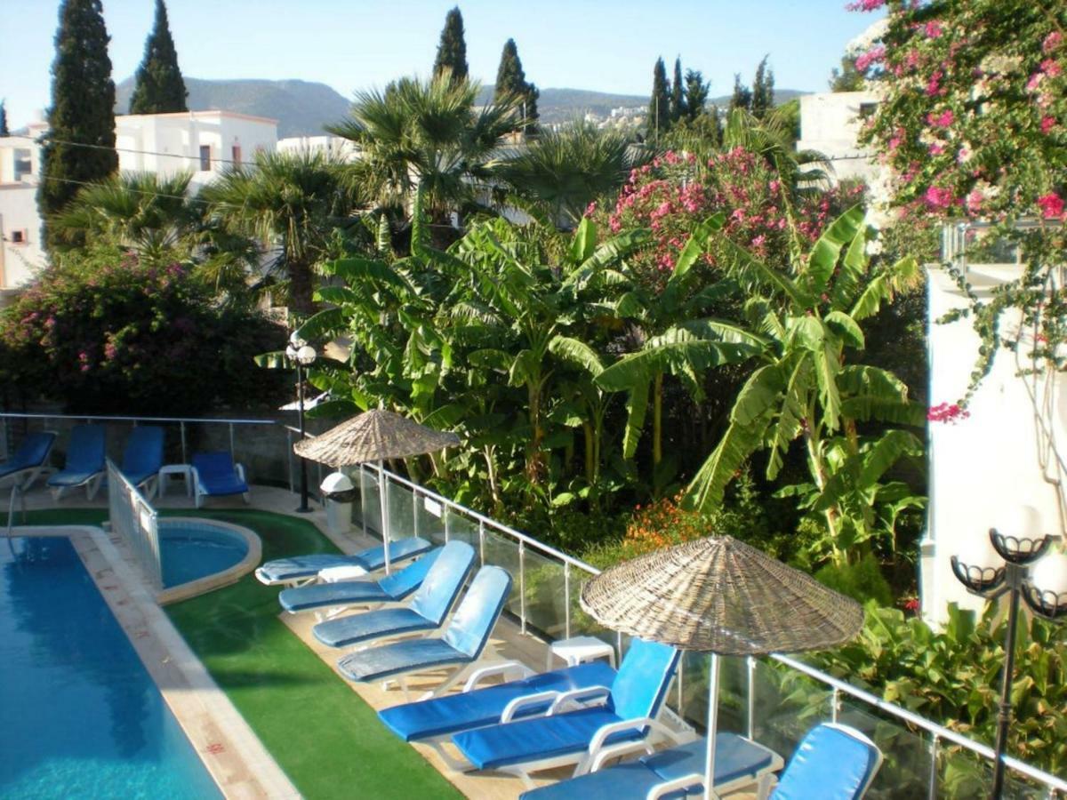 Otel Filis 2*